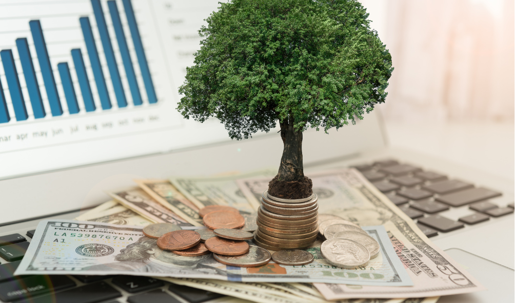 FOTOĞRAF 6 Yatırım, Büyüme ve Yapılandırma